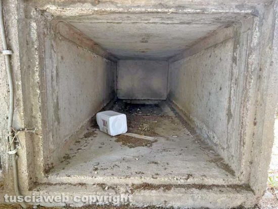 Viterbo - Il degrado e l'abbandono del cimitero San Lazzaro