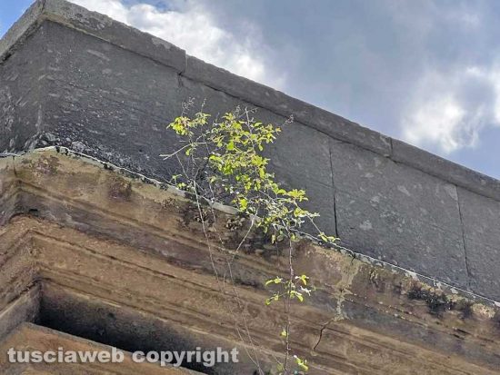 Viterbo - Il degrado e l'abbandono del cimitero San Lazzaro