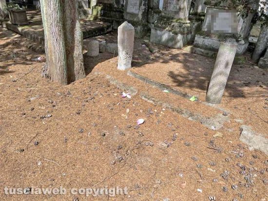Viterbo - Il degrado e l'abbandono del cimitero San Lazzaro