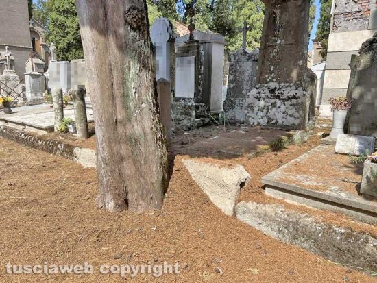 Viterbo - Il degrado e l'abbandono del cimitero San Lazzaro