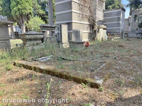 Viterbo - Il degrado e l'abbandono del cimitero San Lazzaro