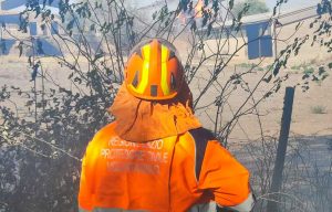Lubriano - La protezione civile in azione