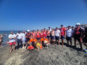 Tarquinia - Esercitazione con i cani da salvataggio Sics