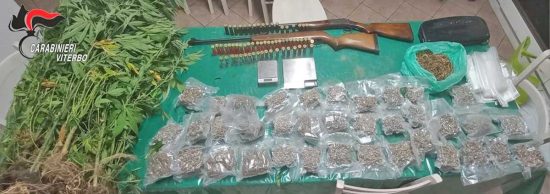 Faleria - Sequestrati oltre 4 kg di marijuana, due fucili, 21 piantine e materiale per la pesatura