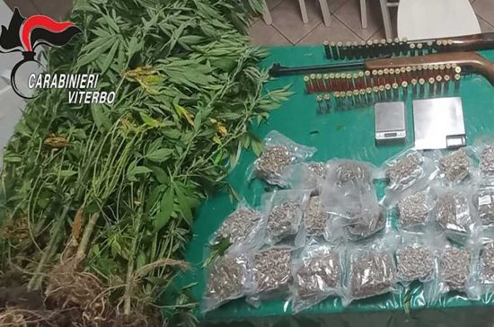 Faleria - Sequestrati oltre 4 kg di marijuana, due fucili, 21 piantine e materiale per la pesatura
