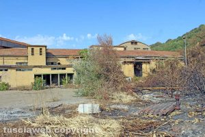 Tuscania - La cartiera di Pian delle Mole