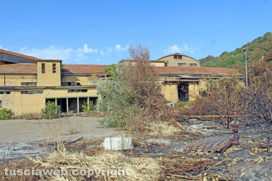 Tuscania - La cartiera di Pian delle Mole