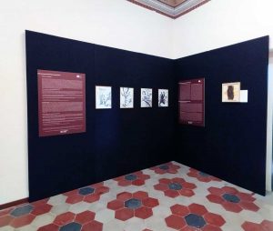 Viterbo - Museo Colle del Duomo - La sala dedicata a monsignor Salvatore Del Ciuco