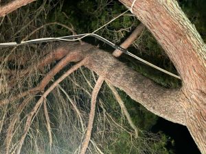 Civitavecchia - Cavi pericolanti al piazzale della chiesa Pantano