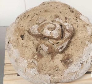 La pappa celiaca - Prodotti artigianali dedicati a Santa Rosa