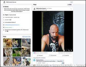 La diretta Facebook dell'allevatore Armando Tiberi