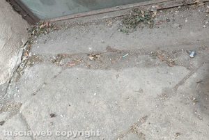 Viterbo - Escrementi, sporcizia e guano in via Sant'Egidio