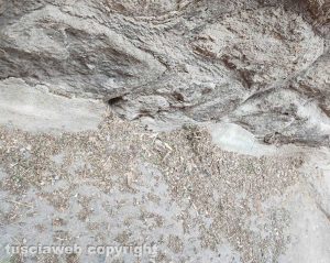 Viterbo - Escrementi, sporcizia e guano in via Sant'Egidio