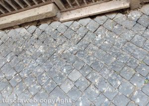 Viterbo - Escrementi, sporcizia e guano in via Sant'Egidio