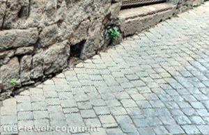 Viterbo - Pulita via Sant'Egidio