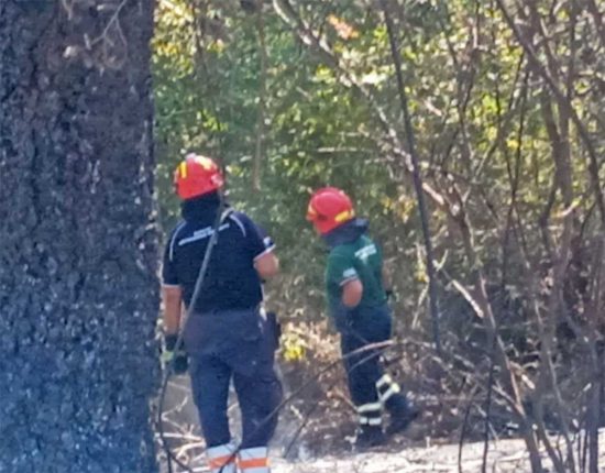 Tuscania - Incendio, fiamme in strada Vetrallese