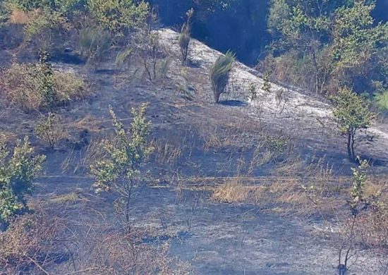 Piansano - Incendio in località Giraldo