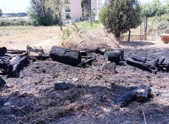 Tarquinia - Catasta di legno a fuoco vicino alla vecchia Aurelia