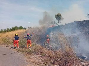 Montalto di Castro - Vasto incendio di sterpaglie a bordo della strada Aurelia