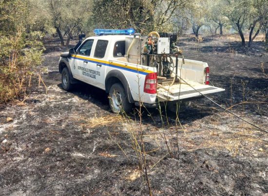 Gallese - Incendio a Gallese, fiamme in località Camporotondo