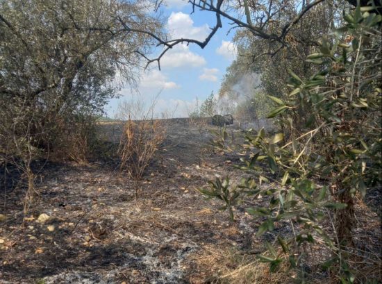 Gallese - Incendio a Gallese, fiamme in località Camporotondo
