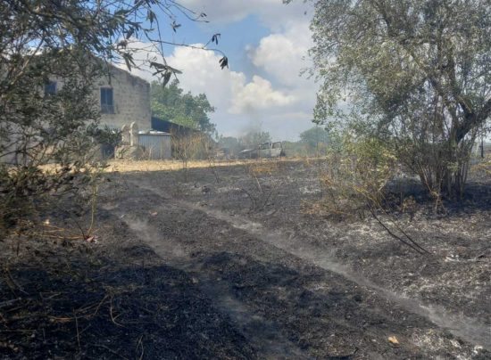 Gallese - Incendio a Gallese, fiamme in località Camporotondo