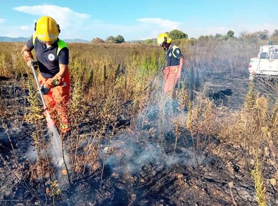 Montalto di Castro - Vasto incendio di sterpaglie a Pescia Romana