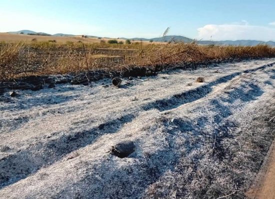 Montalto di Castro - Vasto incendio di sterpaglie a Pescia Romana