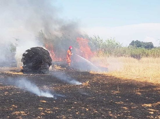 Montalto di Castro - Vasto incendio di sterpaglie a Pescia Romana