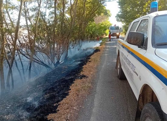 Tarquinia - Incendio lungo la strada, dopo la Polveriera