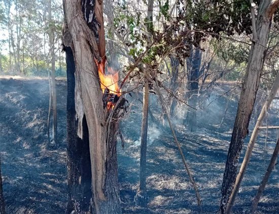 Tarquinia - Incendio lungo la strada, dopo la Polveriera
