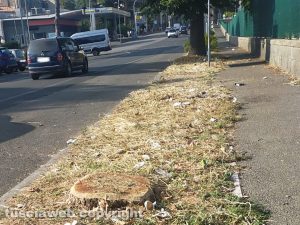 Viterbo - Viale che porta alla stazione di porta Romana - Erbacce e mancanza di decoro
