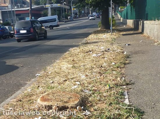 Viterbo - Viale che porta alla stazione di Porta Romana - Erbacce e mancanza di decoro
