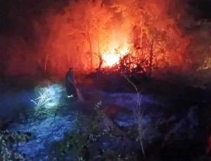 Tarquinia - Incendio in località Ancarano