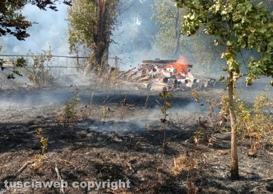 Campagnano - Vasto incendio, bruciano 40 ettari tra bosco e pattume