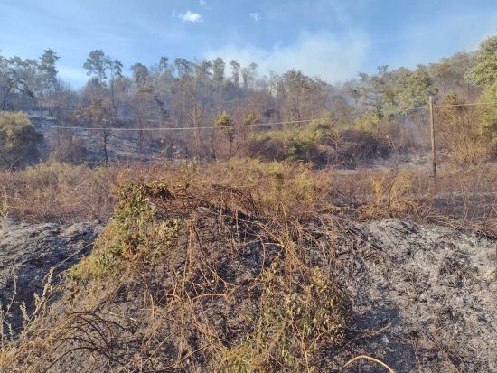 San Lorenzo Nuovo - Vasto incendio boschivo