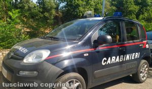 Carabinieri
