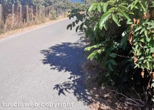 Ronciglione - La Sp lago di Vico