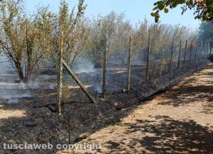 Corchiano - Terreno incolto in fiamme