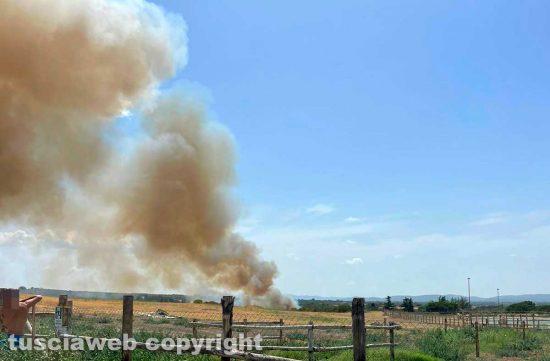 Viterbo - Incendio vicino le Terme sulla Cassia sud