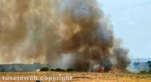 Viterbo - Incendio vicino le Terme sulla Cassia sud