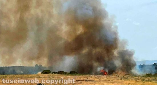 Viterbo - Incendio vicino le Terme sulla Cassia sud