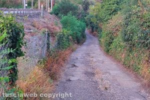 Viterbo - Buche lungo strada Signorelli