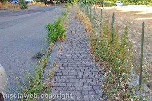 Viterbo - Il marciapiedi dell'asilo "Il nido a colori"