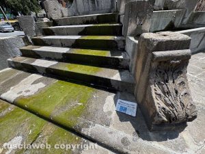 Viterbo - Melma, immondizia, vespe nelle vasche della fontana del Vignola a piazza della Rocca - Foto realizzata il 5 agosto 2024 alle ore 12,57 minuto più minuto meno