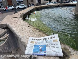 Viterbo - Una prospettiva che fa apparire la fontana del Vignola a piazza della Rocca pulita o quasi. Basta tagliare fuori la melma - Foto realizzata il 5 agosto 2024 alle ore 12,57 minuto più minuto meno