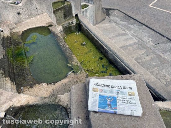 Viterbo - Melma, immondizia, vespe nelle vasche della fontana del Vignola a piazza della Rocca - Foto realizzata il 5 agosto 2024 alle ore 12,57 minuto più minuto meno