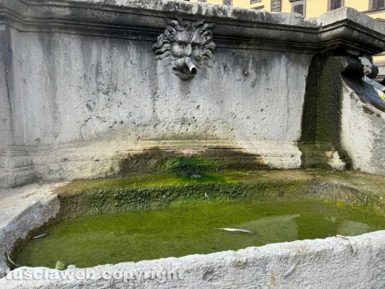 Viterbo - La fontana del Vignola a piazza della Rocca fotografata dal consigliere comunale Giulio Marini alle ore 16 di domenica 4 agosto 2024