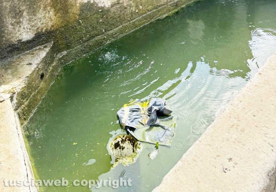 Viterbo - La fontana del Vignola a piazza della Rocca fotografata dal consigliere comunale Giulio Marini alle ore 16 di domenica 4 agosto 2024
