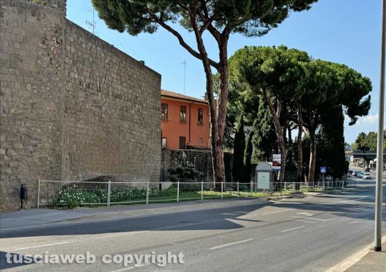 Viterbo - Risistemato parco Melvin Jones